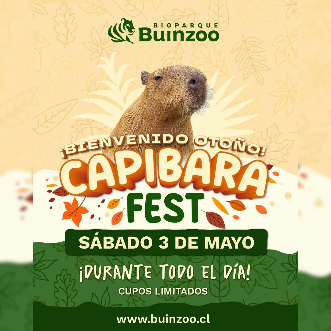 Capibara Fest en el Bioparque Buinzoo