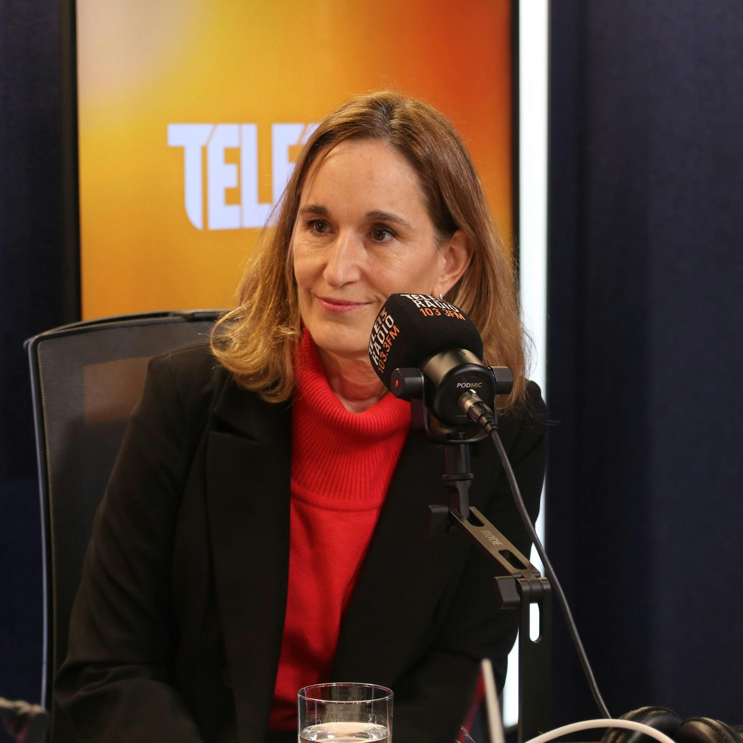 Directora ejecutiva SEA: "Es momento de ver cómo mejoramos el sistema de otorgamiento de permisos, pero también valorar lo que tenemos"