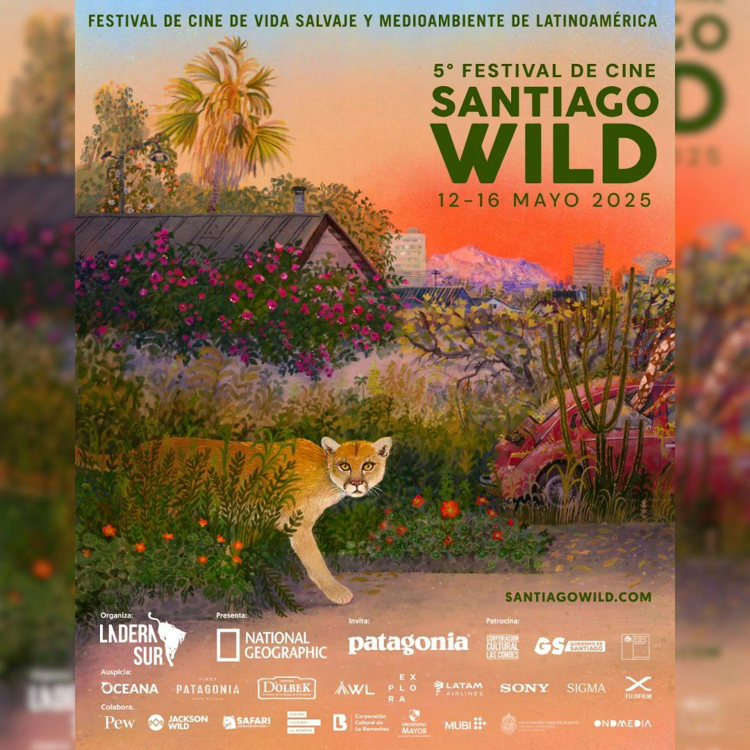 El Festival de Cine Santiago Wild 2025