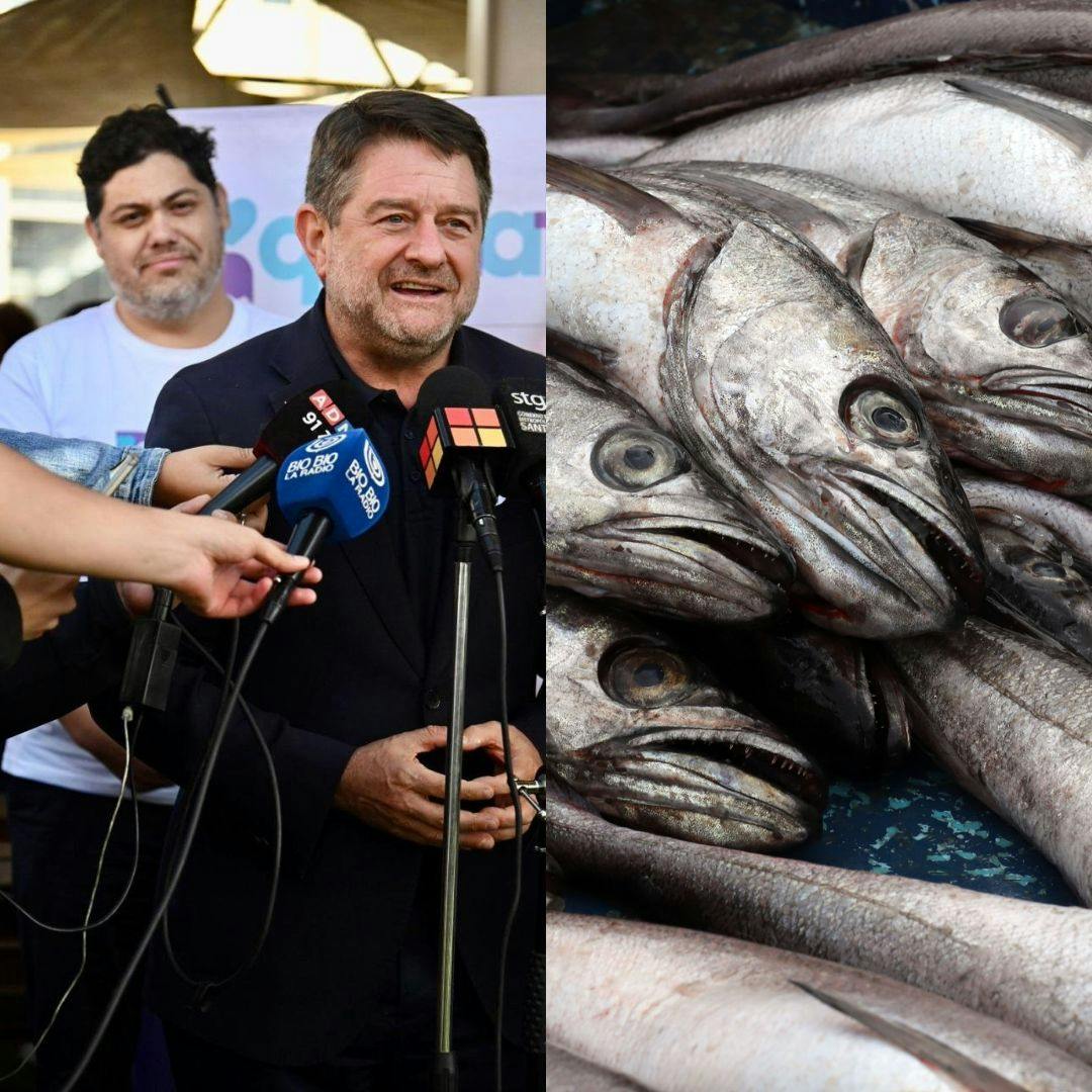 La participación del Gobernador Orrego en el caso Procultura y la merluza en la Ley de Fraccionamiento Pesquero