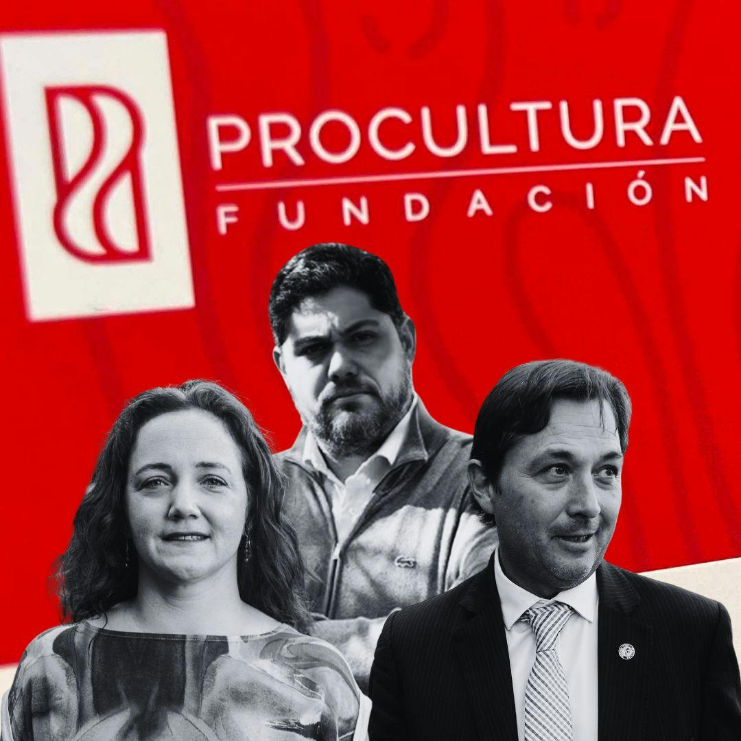 Caso ProCultura: el pinchazo telefónico a Huneeus, los recursos traspasados a Larraín y el rol del fiscal Cooper