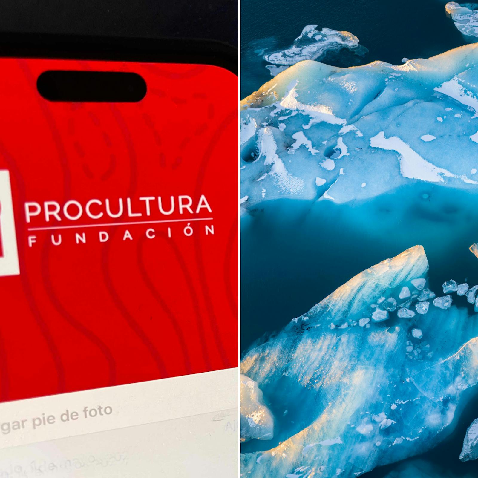 Gajardo y Galli por el Caso ProCultura y la paradoja en el combate al cambio climático