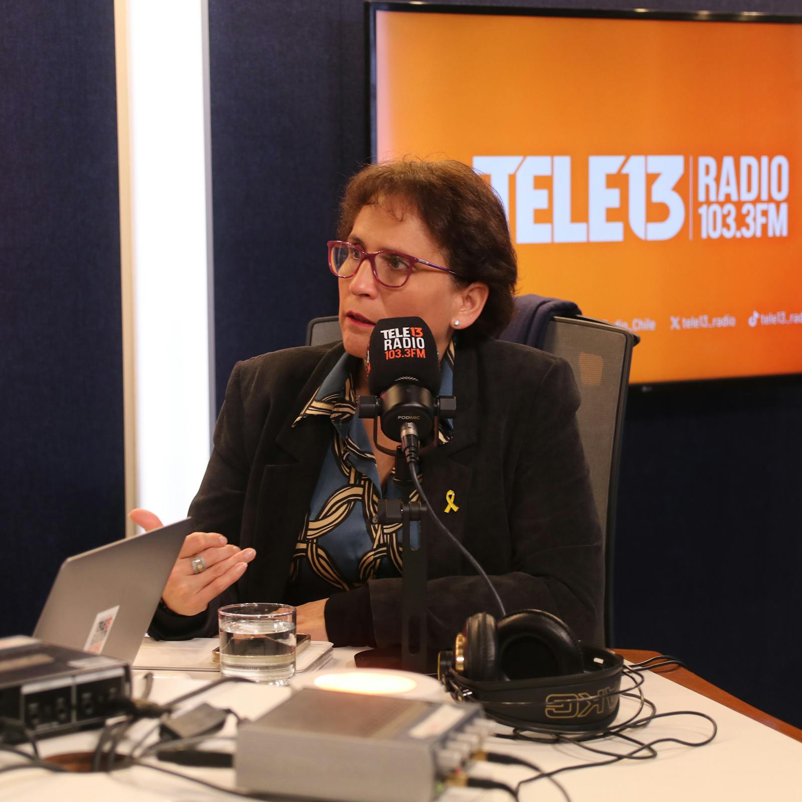 Subsecretaria Leitao por incidente fatal en La Reina: "No podemos poner a funcionarios municipales a enfrentar situaciones de extremo riesgo" episode artwork