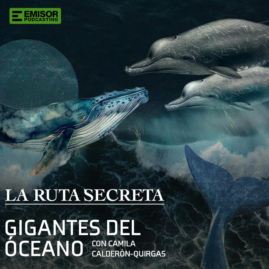 Gigantes del océano, con Camila Calderón-Quirgas