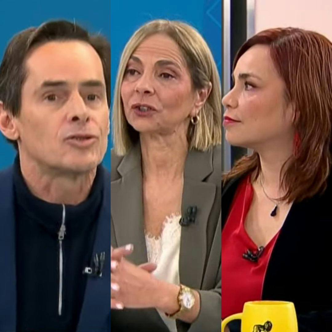 La caída de Evelyn Matthei en las encuestas y las nuevas tensiones entre candidatos oficialistas 