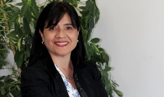 SEC ante sistema frontal: "Si a usted se le corta la luz llame a la empresa, reclamar es valioso en estos casos"