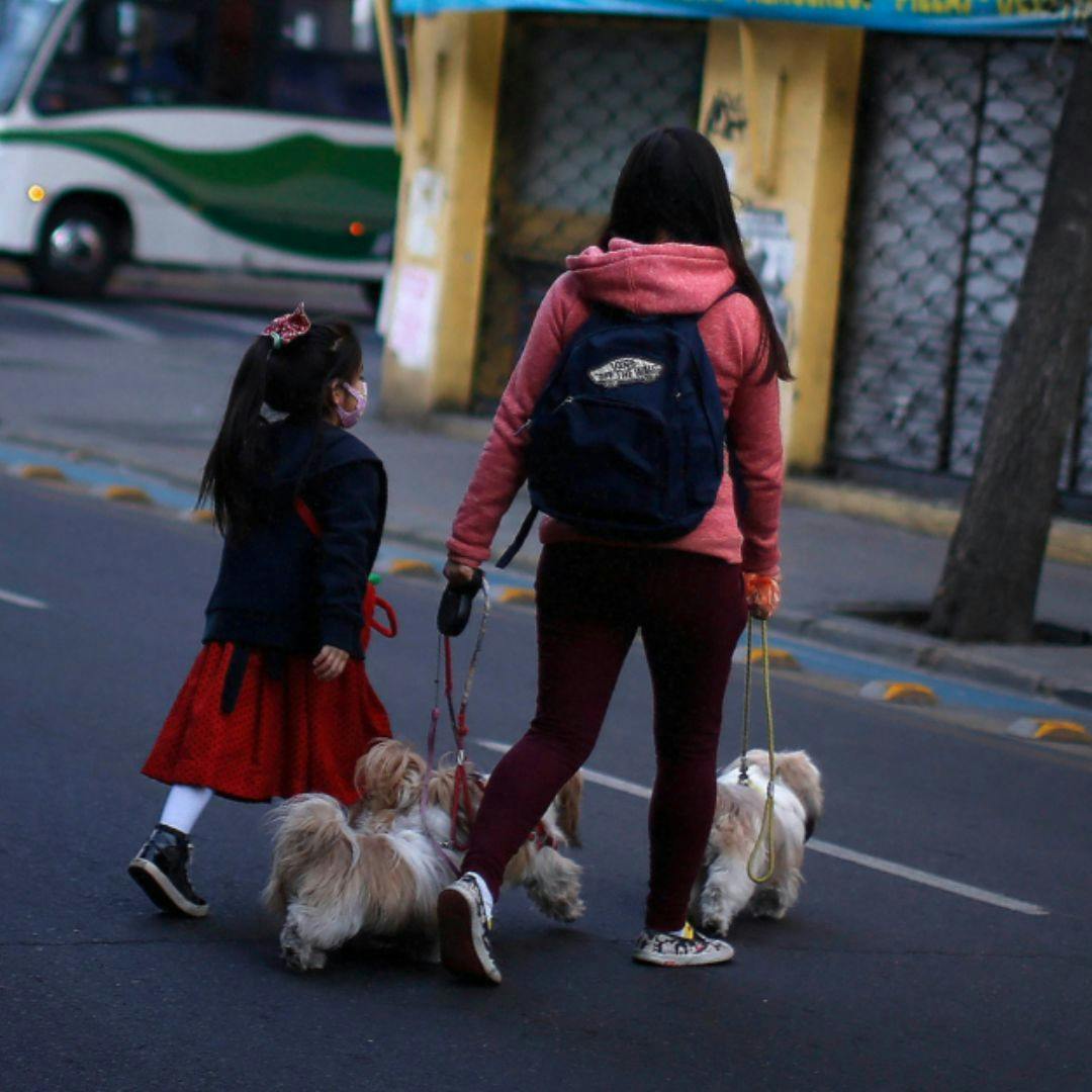 Los detalles de la nueva ley de adopciones