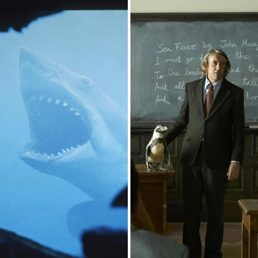 Cavallo y Ramírez por “Lecciones de un pingüino”, “El lado oscuro de la justicia” y los 50 años de “Tiburón” de Steven Spielberg