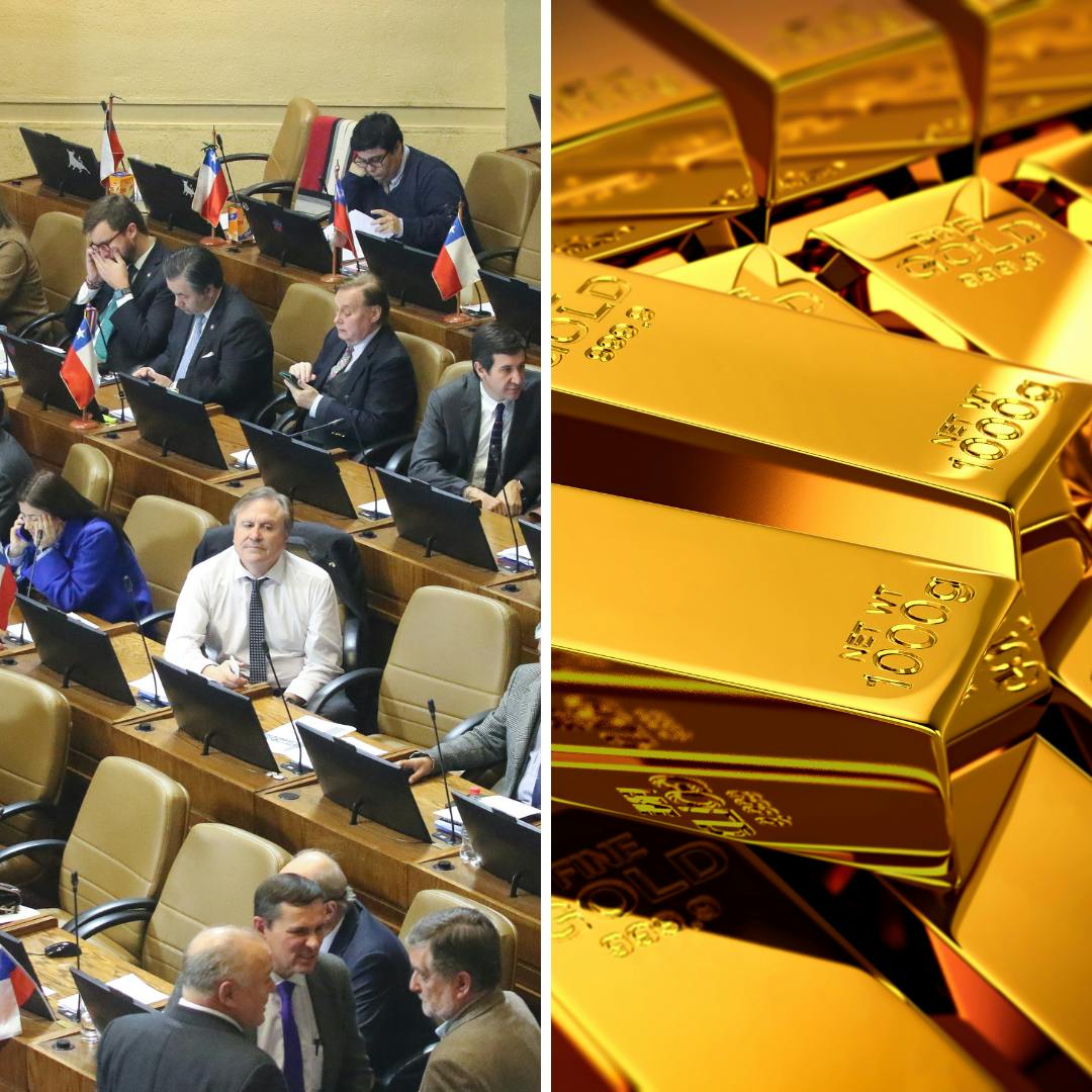 Vial y Comandari por los peligros de que figuras de farándula apuesten por ser parlamentarios y la fiebre del oro