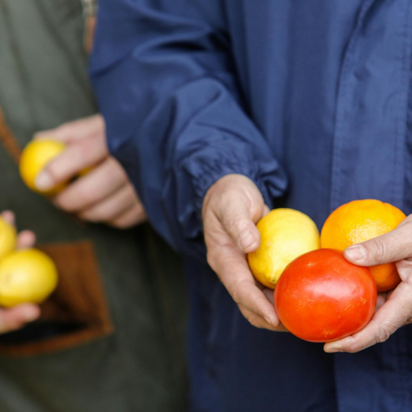 El IPC anotó una variación nula en agosto y la inflación total se moderó a 4% en doce meses