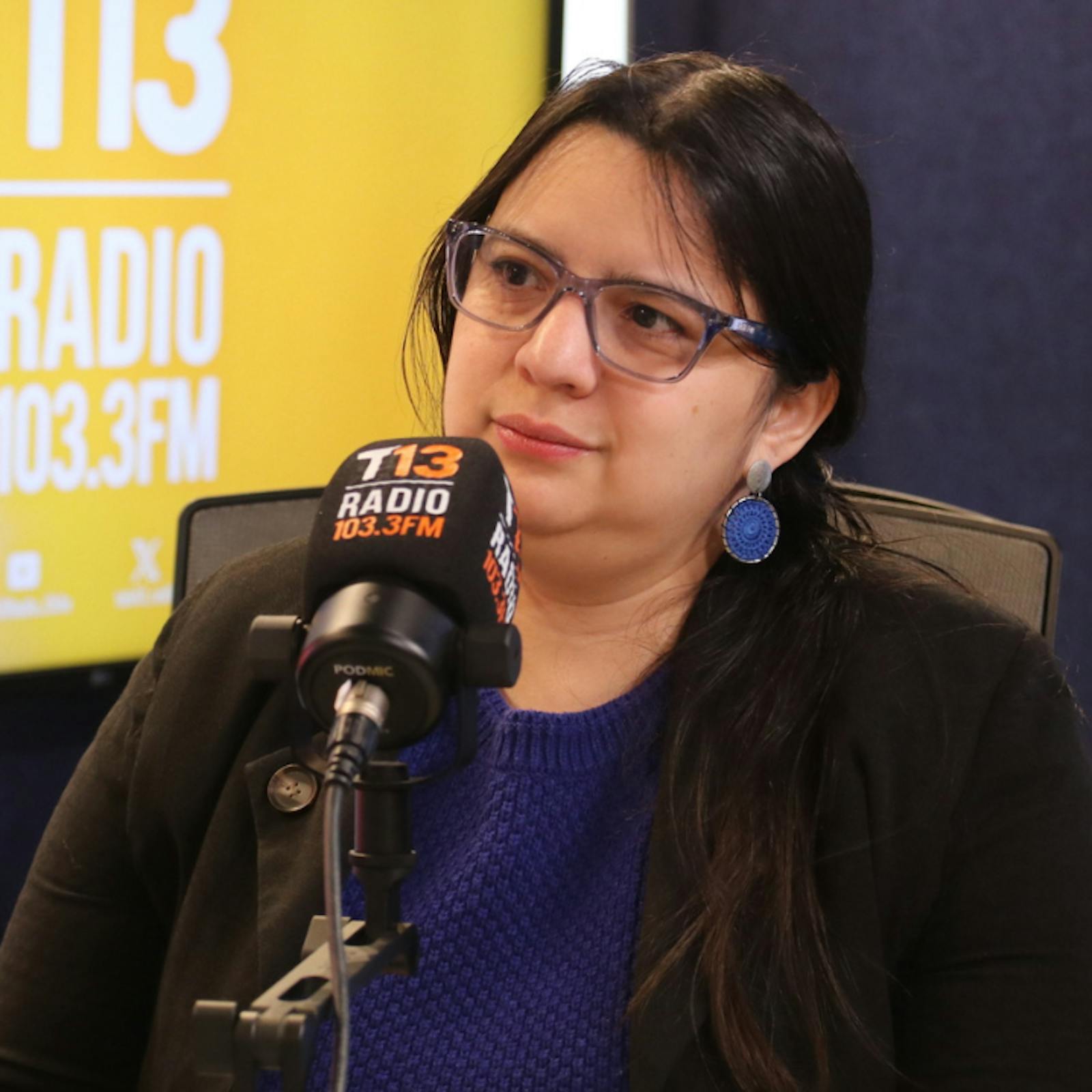 Javiera Martínez por erario fiscal para 2026: "No lo calificaría de austero o no, sino que será un presupuesto responsable fiscalmente" episode artwork