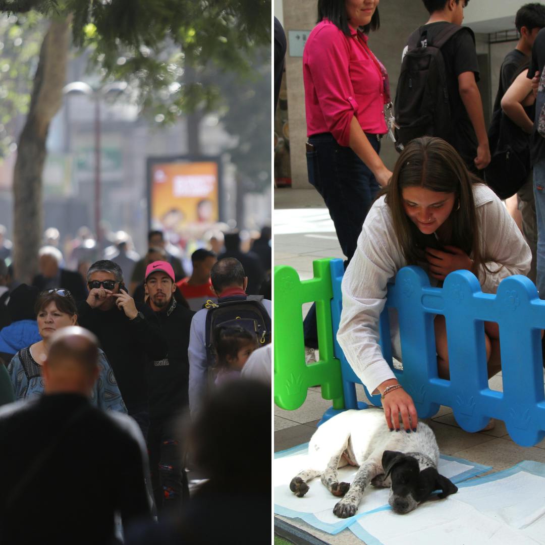 Vial y O’Shea por cómo la gente se forma opinión y la preferencia por los perros antes que los niños