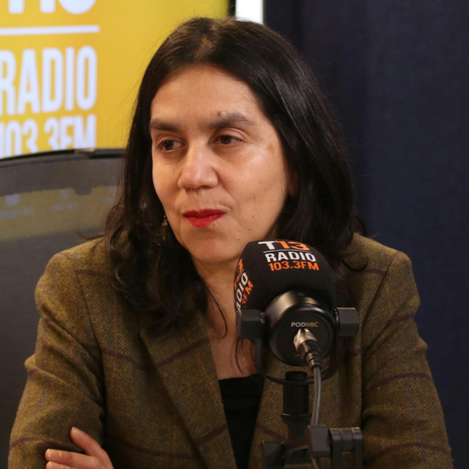 Abogada de Víctor Providel por solicitud de inhabilidad de fiscales en arista del Caso Monsalve: "Esto coarta y limita el derecho que tiene el defensor en su rol de ejercer una defensa activa" episode artwork