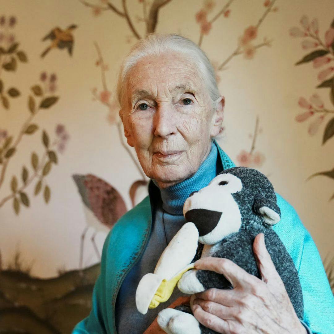El legado de Jane Goodall