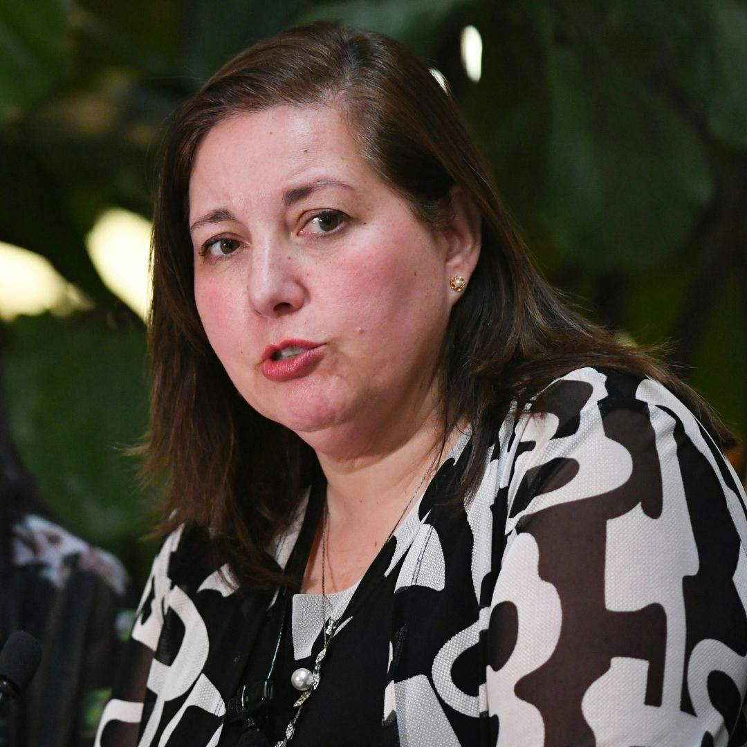 Paulina Vodanovic por consecuencias de las  tarifas eléctricas: “Aquí hay un error, el precio político de ese error lo paga el ministro Pardow” 