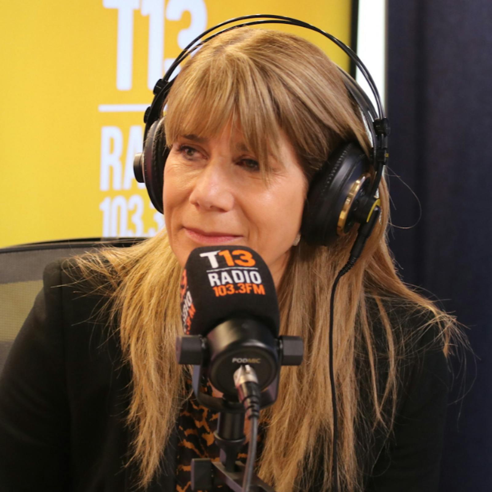 Senadora Rincón por Ley de Presupuestos 2026: "Lo peor que podría pasar es que esto sea un "caballo de Troya", con los temas que van a reclamar una vez que termine su Gobierno" episode artwork
