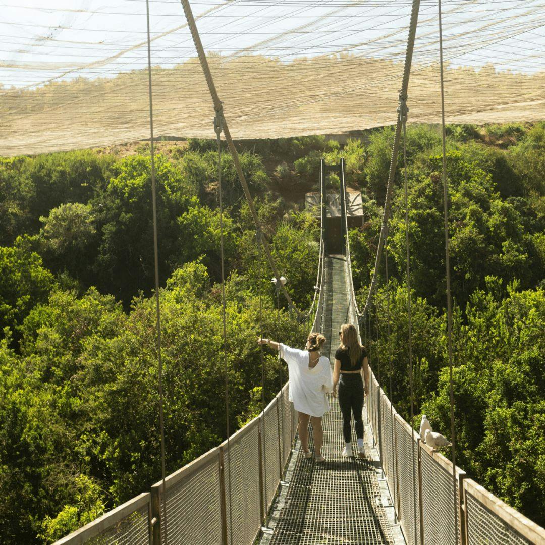 El Parque Tricao