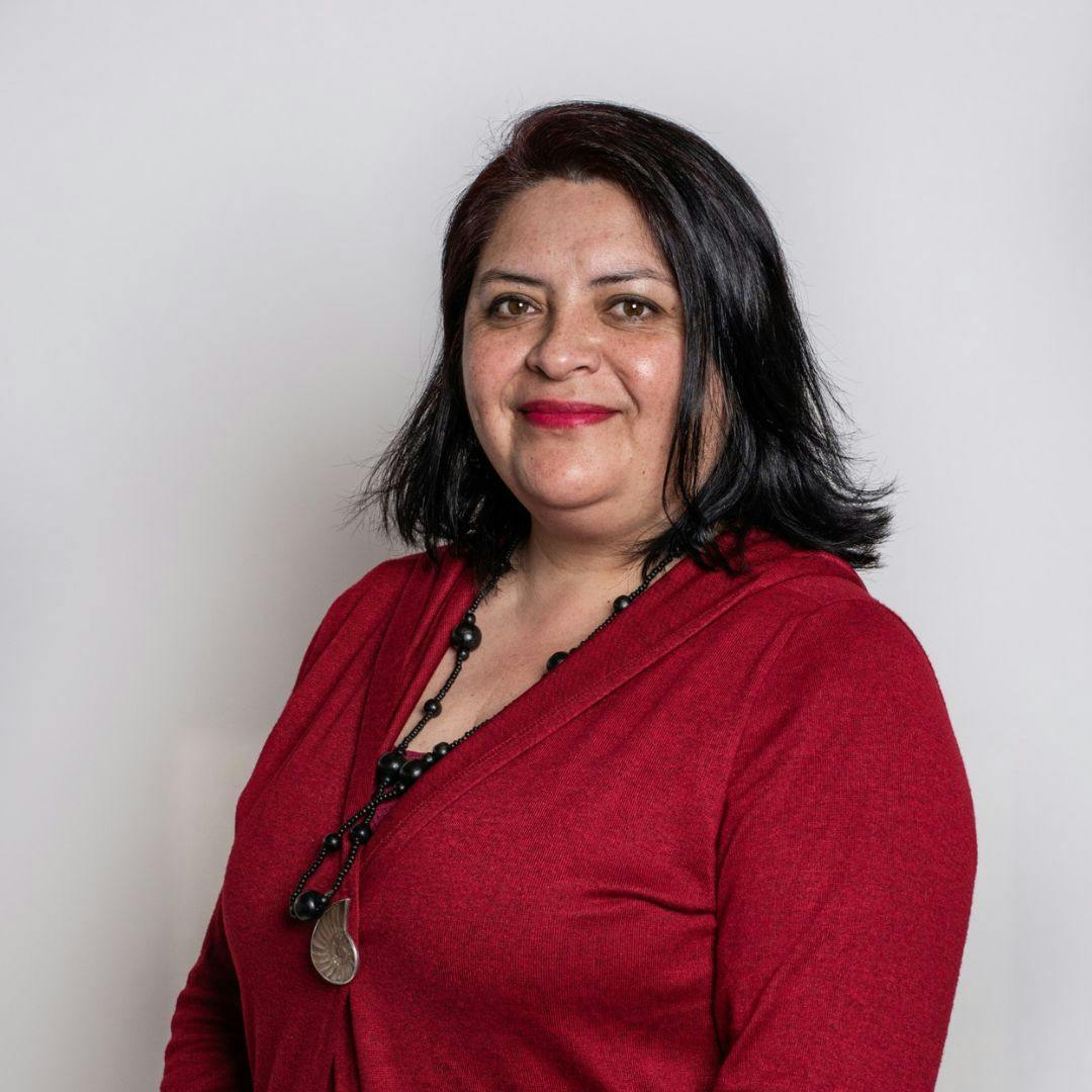 Académica UCN por cometa de la lluvia de estrellas Leónidas: “Se demora 33 años en dar la vuelta al sol. Si somos longevos, vamos a poder verlo tres veces”