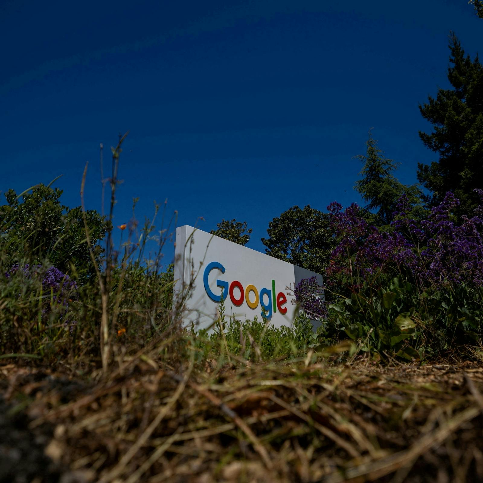 Las acciones de Alphabet se mantienen al alza, a pesar del temor por la "burbuja de la IA" Las acciones de Alphabet se mantienen al alza, a pesar del temor por la "burbuja de la IA"