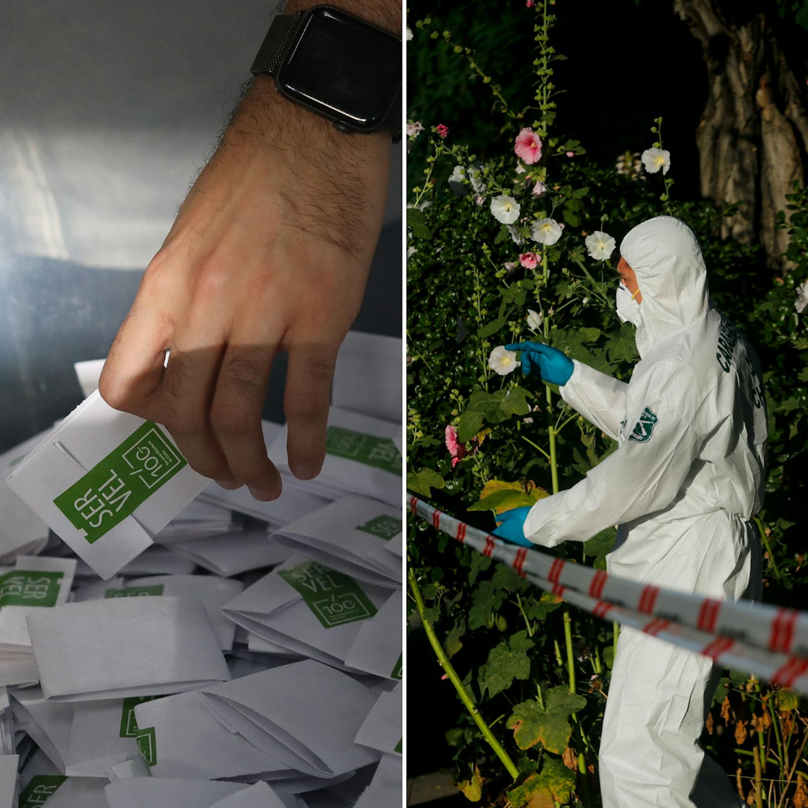 Cavallo y Araos por el comienzo de la campaña presidencial y quién gobierna cuando el Estado se retira Cavallo y Araos por el comienzo de la campaña presidencial y quién gobierna cuando el Estado se retira