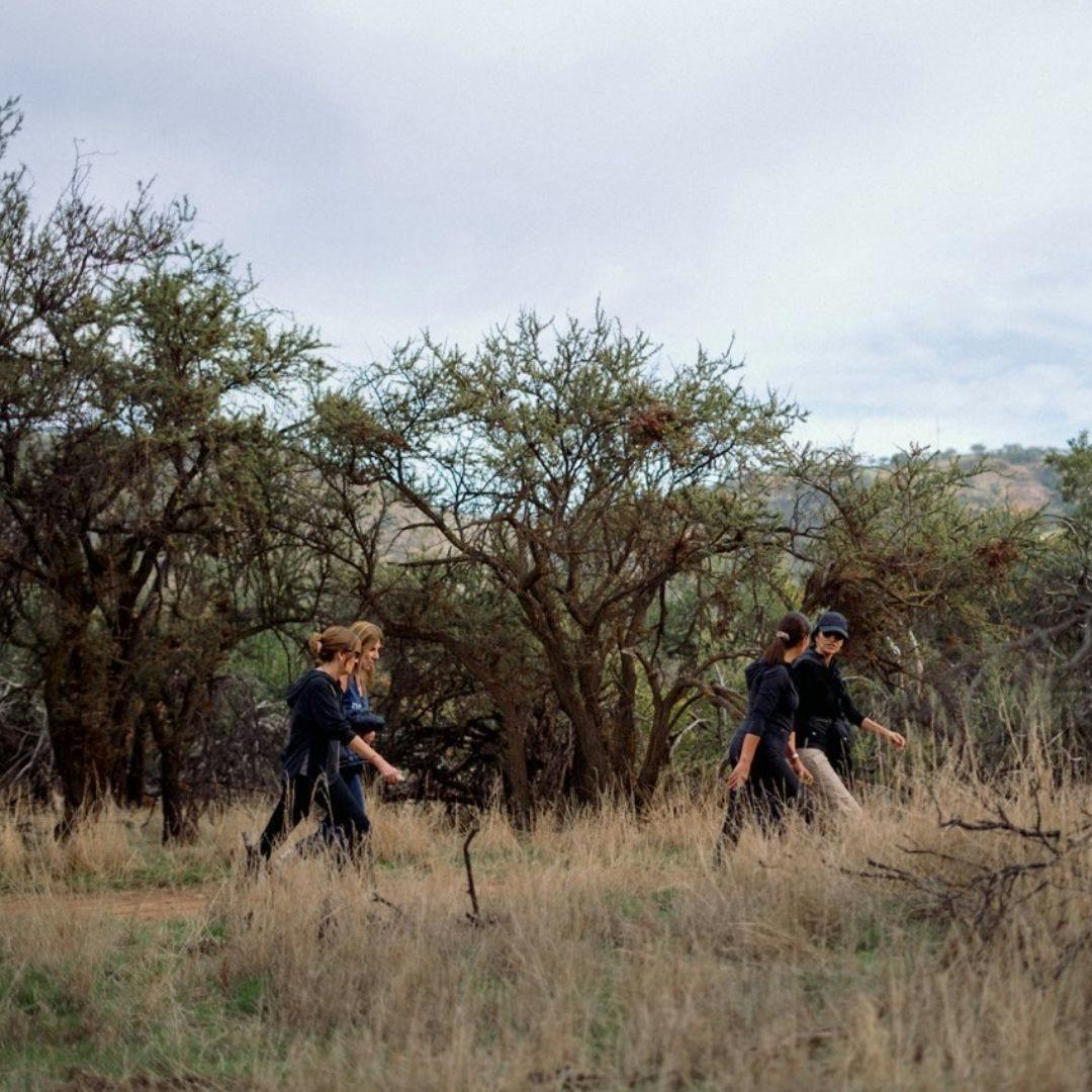 La comunidad Outlife Walking