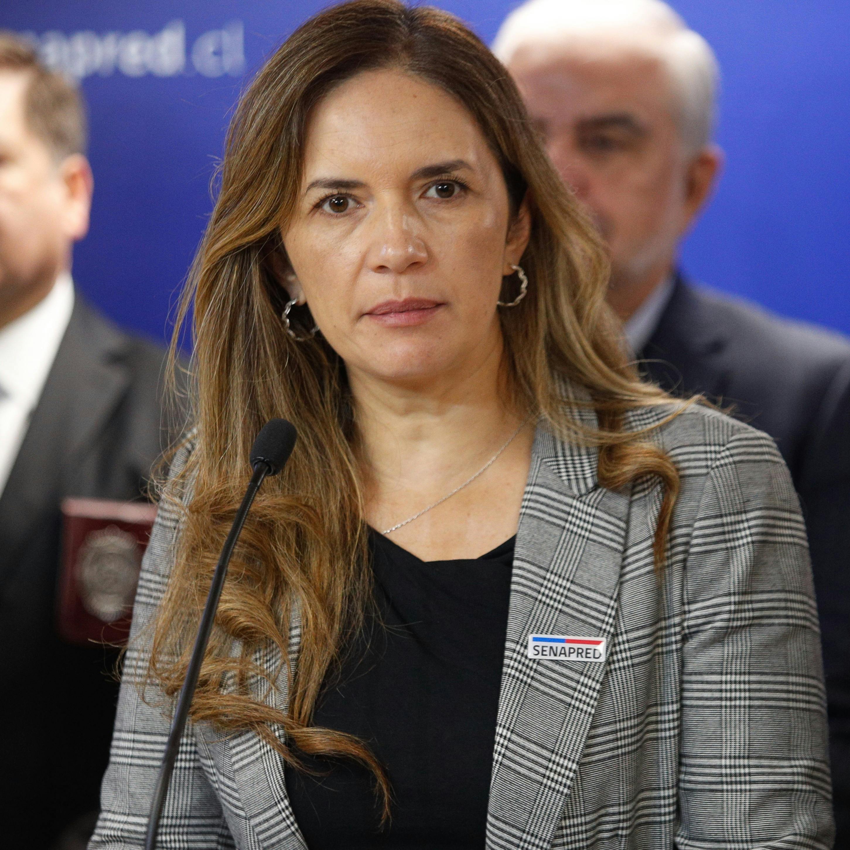 Senapred por incendio en San Carlos de Apoquindo: “Nunca hubo riesgo inminente a sectores poblados, pero el foco inicial estuvo aprox. a 200 metros de alguna infraestructura”