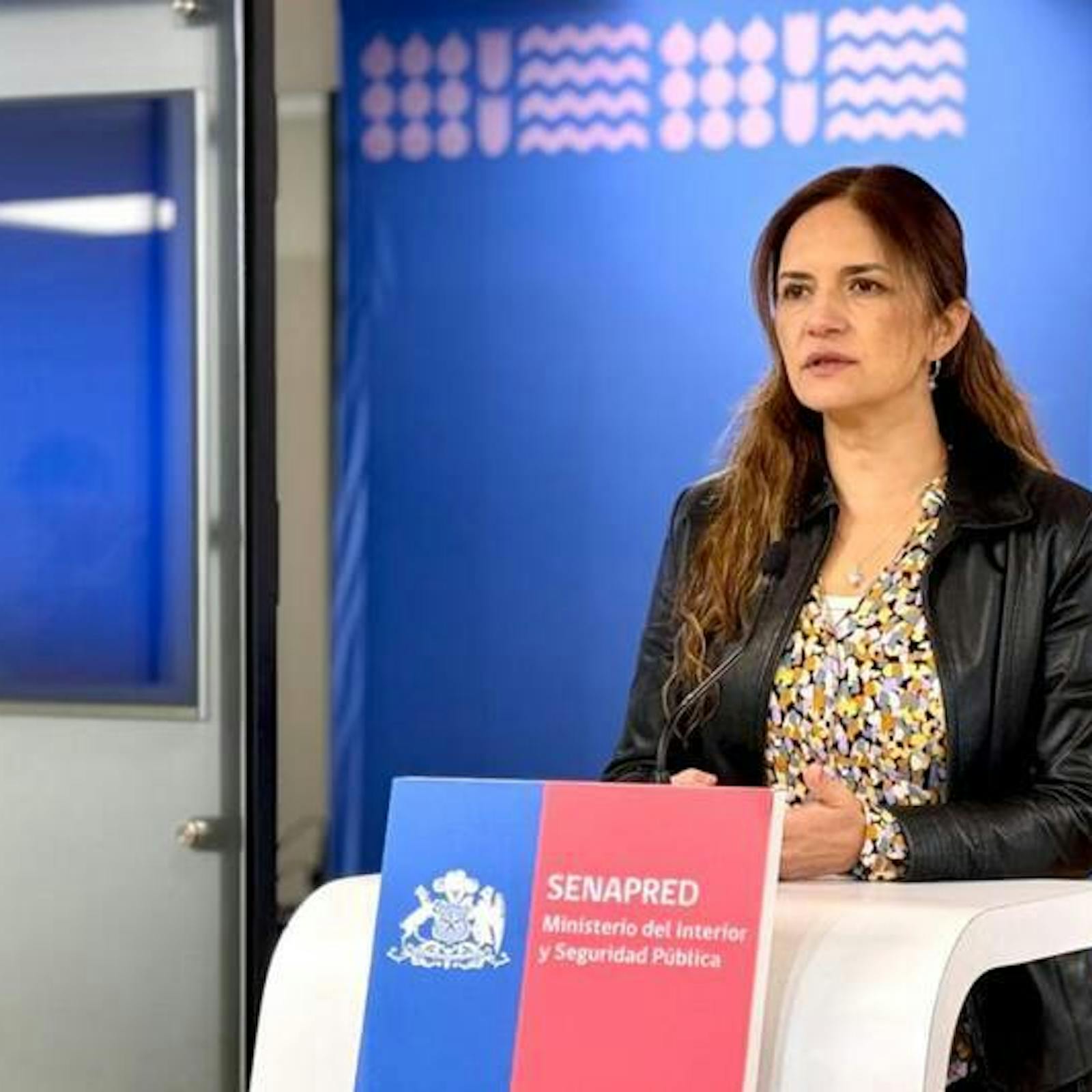 Conversamos con Alicia Cebrián, directora nacional de SENAPRED, por los incendios forestales. Conversamos con Alicia Cebrián, directora nacional de SENAPRED, por los incendios forestales.