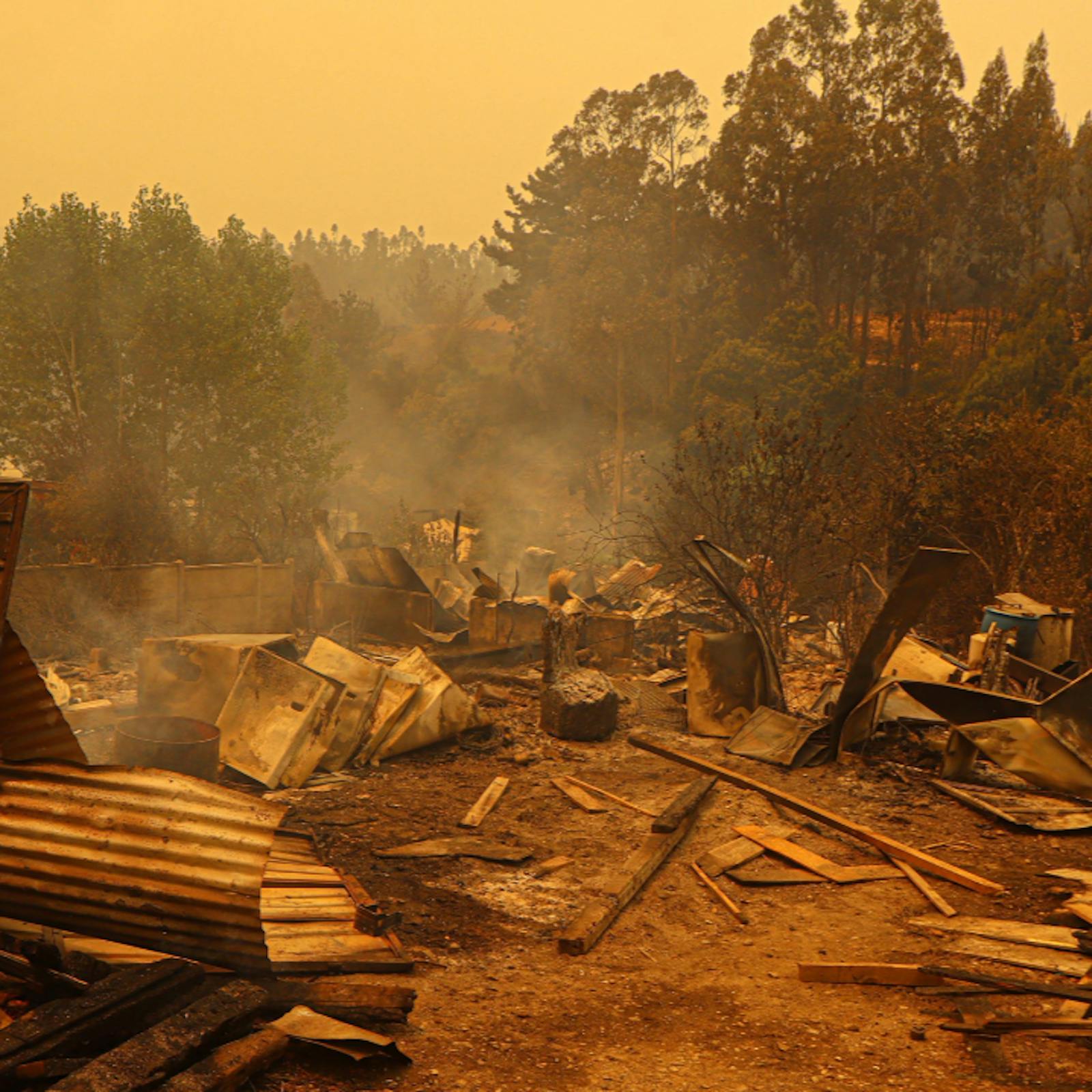 Siguen en combate los incendios forestales en las Regiones de Ñuble y Biobío, que dejan 19 personas fallecidas