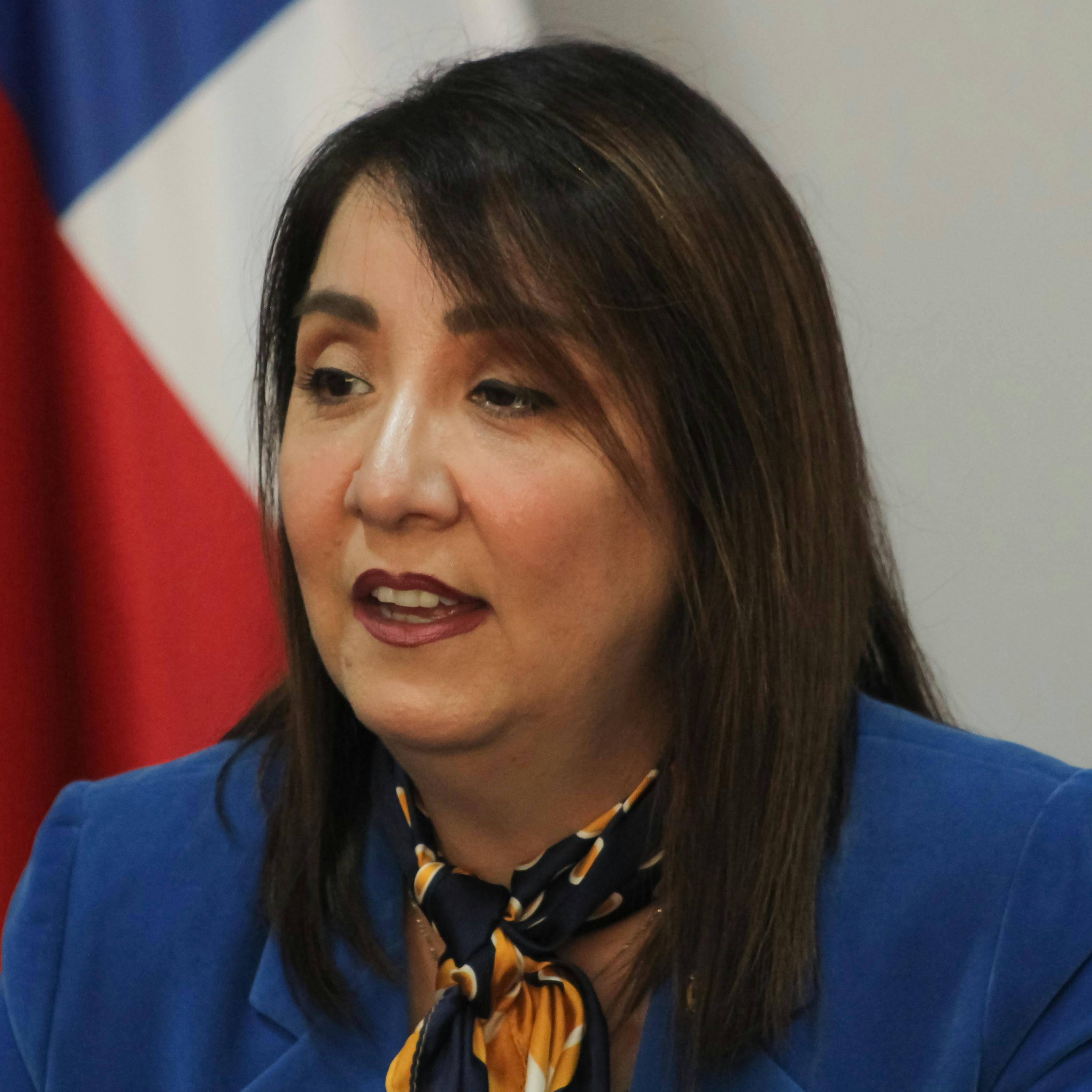 Fiscal regional del Ñuble por incendios en la zona: “La mayor cantidad de hipótesis apuntan a una negligencia y en dos de ellos posiblemente podría ser de origen eléctrico”