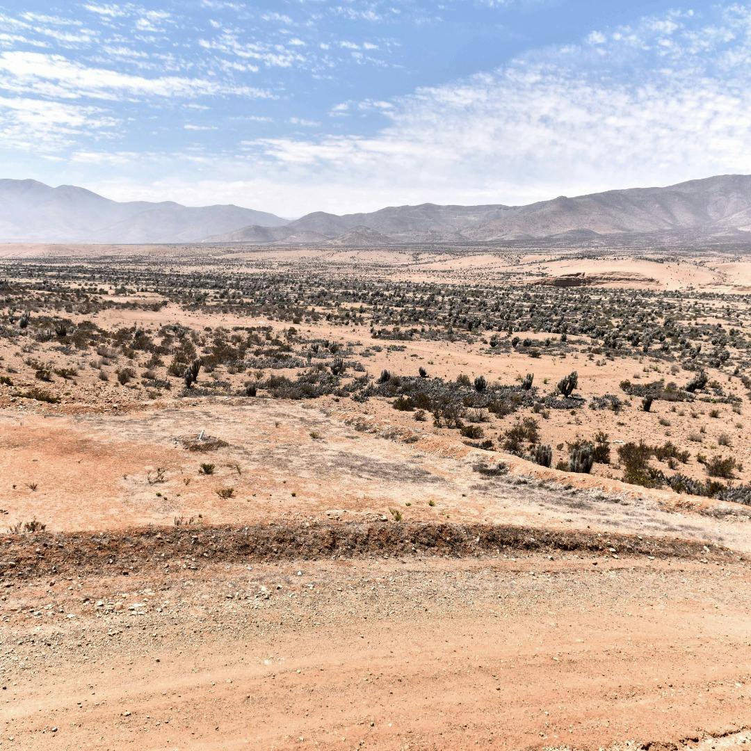 Fallo de la Corte de Apelaciones de Antofagasta por Dominga genera diversas interpretaciones en el Gobierno y la empresa titular Andes Iron