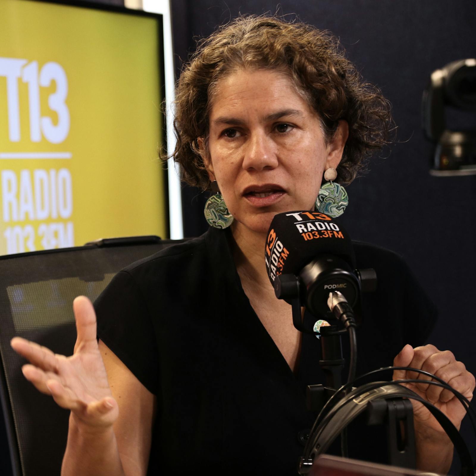 Ministra Maisa Rojas y proyecto Dominga: "Tiene falencias muy importantes y por eso ha sido rechazado por un Comité de Ministros tres veces" episode artwork