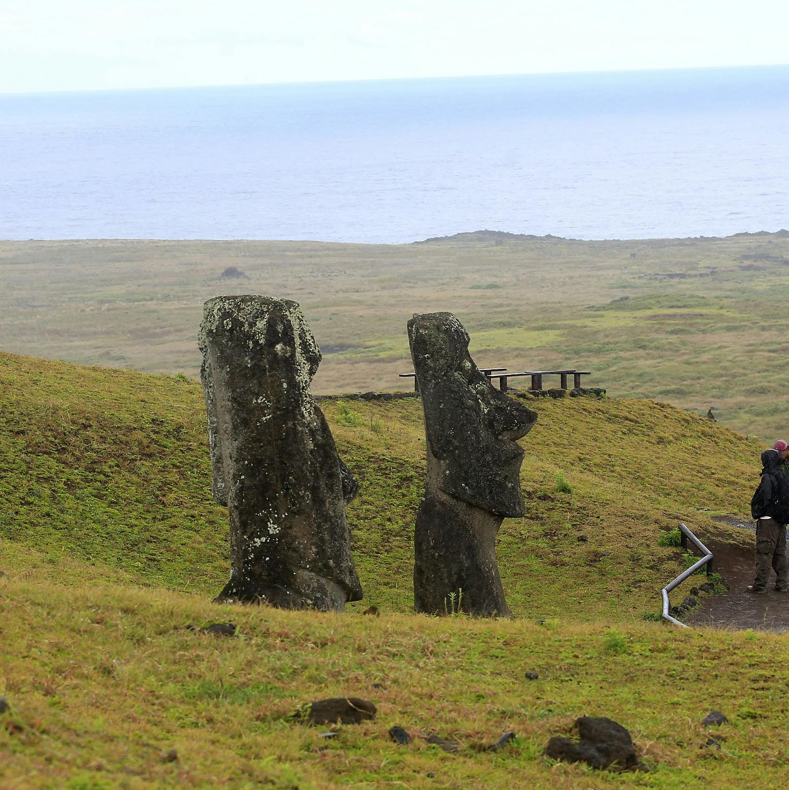 Departamento de Zoonosis del Minsal por brote de dengue en Rapa Nui: "El vector está instalado de forma permanente y en altas cantidades en toda la isla"