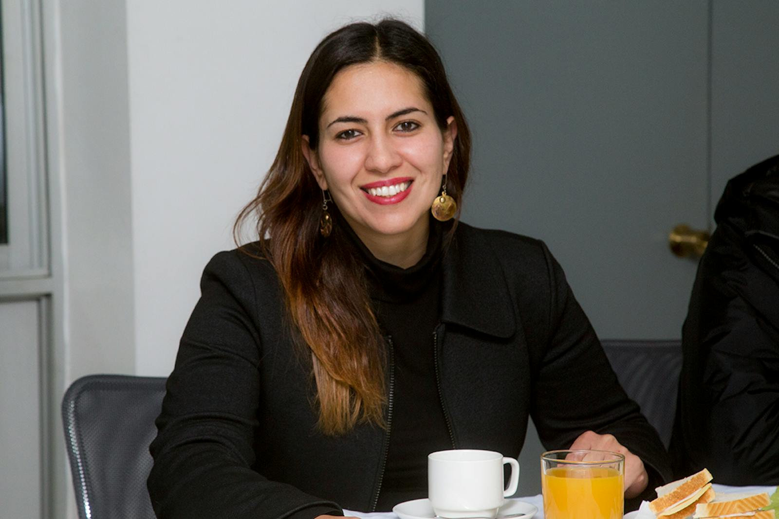 Karina Delfino: "En materia de seguridad hay que poner voluntad política y recursos",