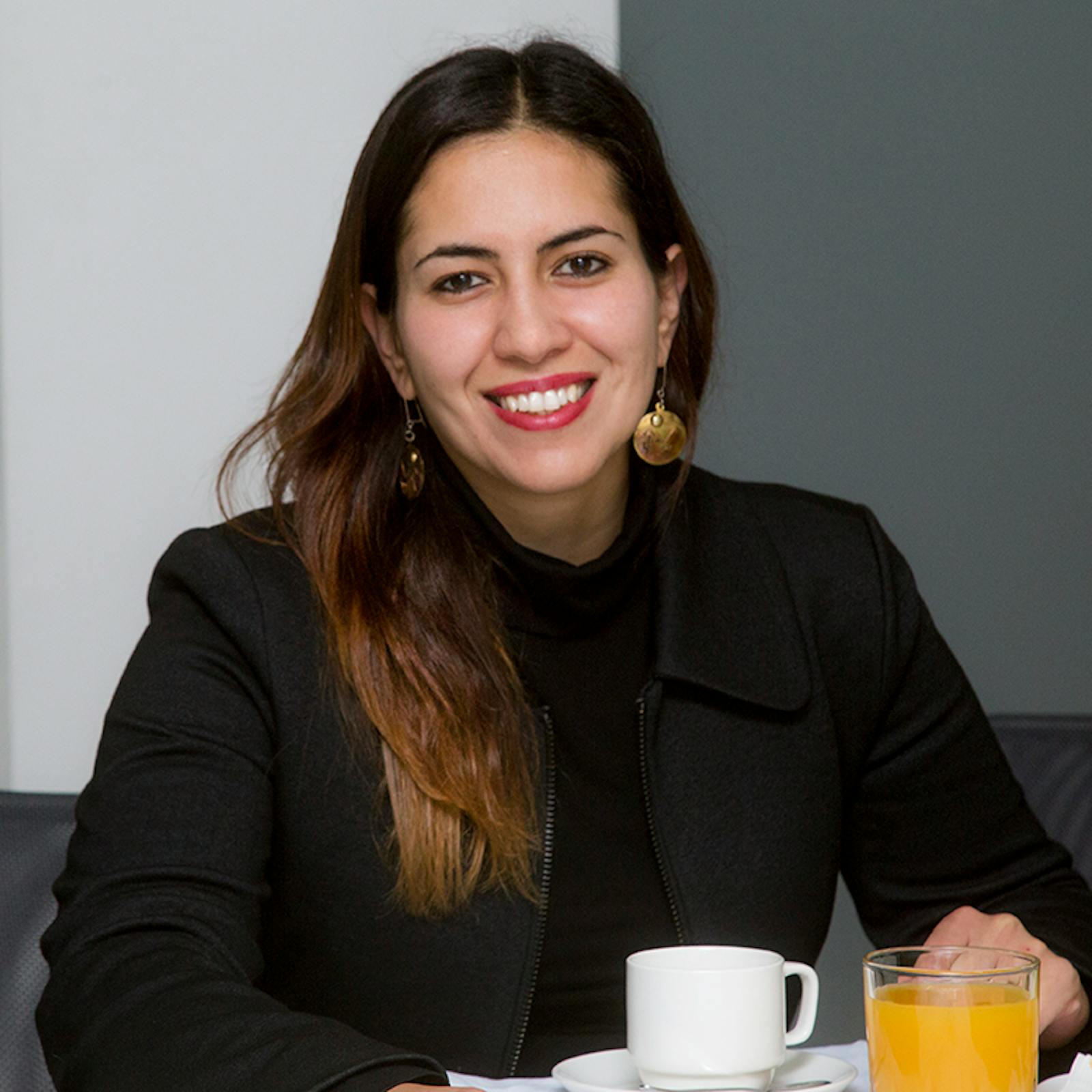 Karina Delfino: "En materia de seguridad hay que poner voluntad política y recursos", Karina Delfino: "En materia de seguridad hay que poner voluntad política y recursos",