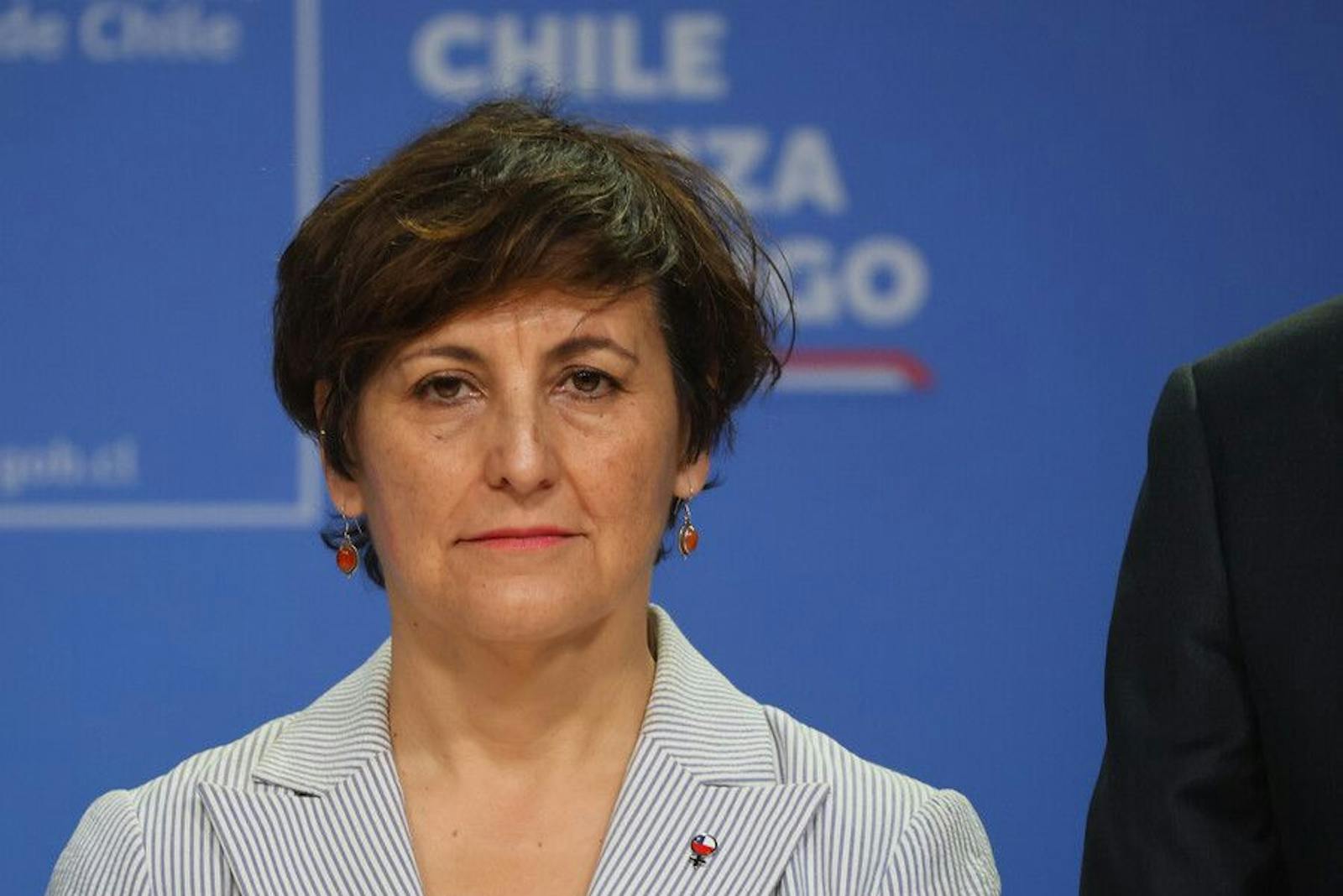 Ministra Aguilera desde el Biobío por los incendios: "Diría que hay una situación mejor que ayer".