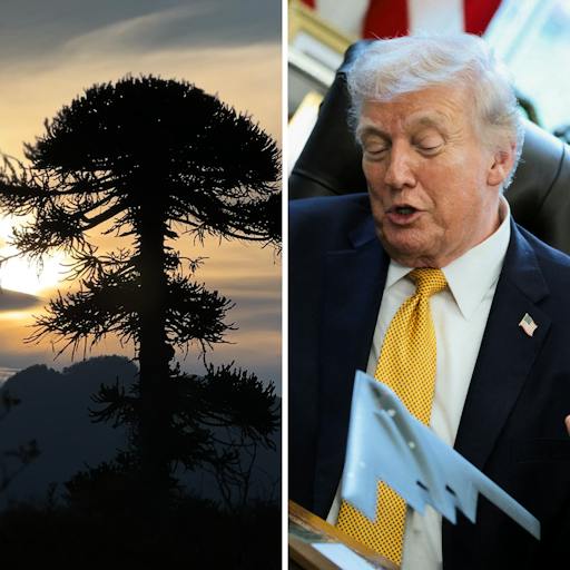 Alarma por "desmantelamiento" ambiental y el modelo venezolano en Cuba