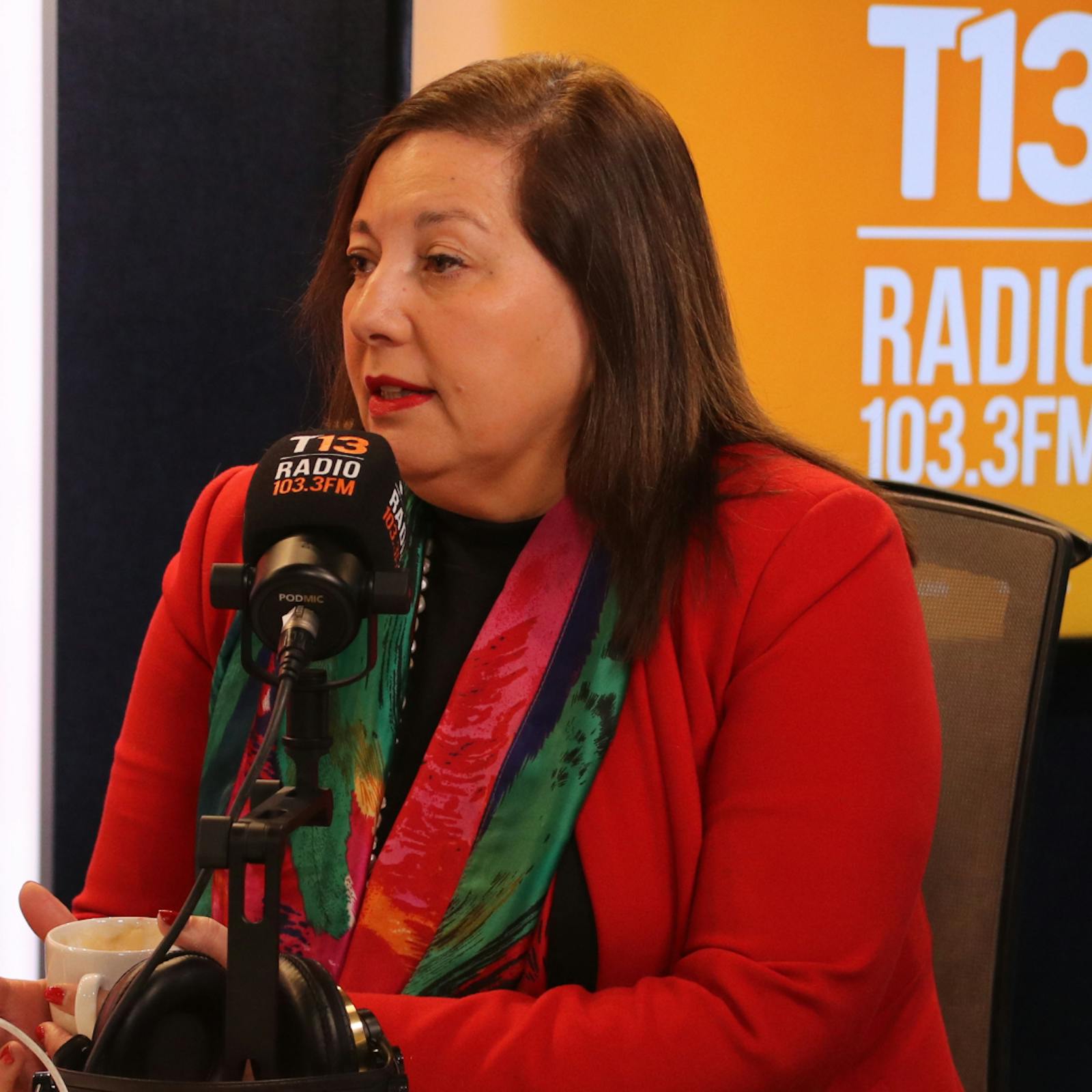 Senadora Vodanovic (PS) por inminente alza de los combustibles: "Es necesario que el Gobierno tome acciones concretas en ayuda de las personas" episode artwork