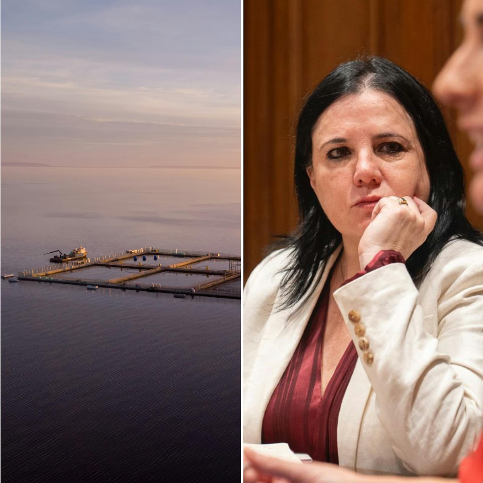 Gajardo y Galli por los desafíos del Ministerio de Seguridad y la Ley Lafkenche