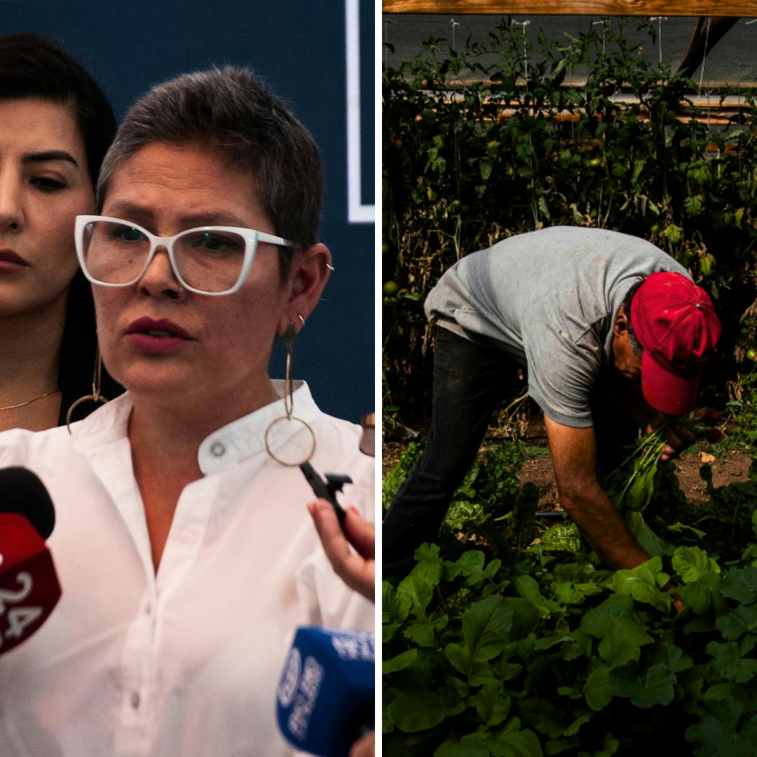 La polémica salida del Sernameg y el precio de la vida (que sube otra vez)