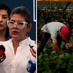 La polémica salida del Sernameg y el precio de la vida (que sube otra vez)