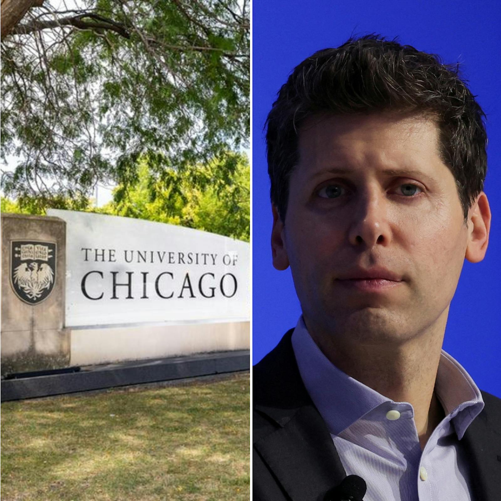 Vial y Comandari por los chilenos que estudian en EE. UU. y la investigación que perjudica al dueño de Open AI