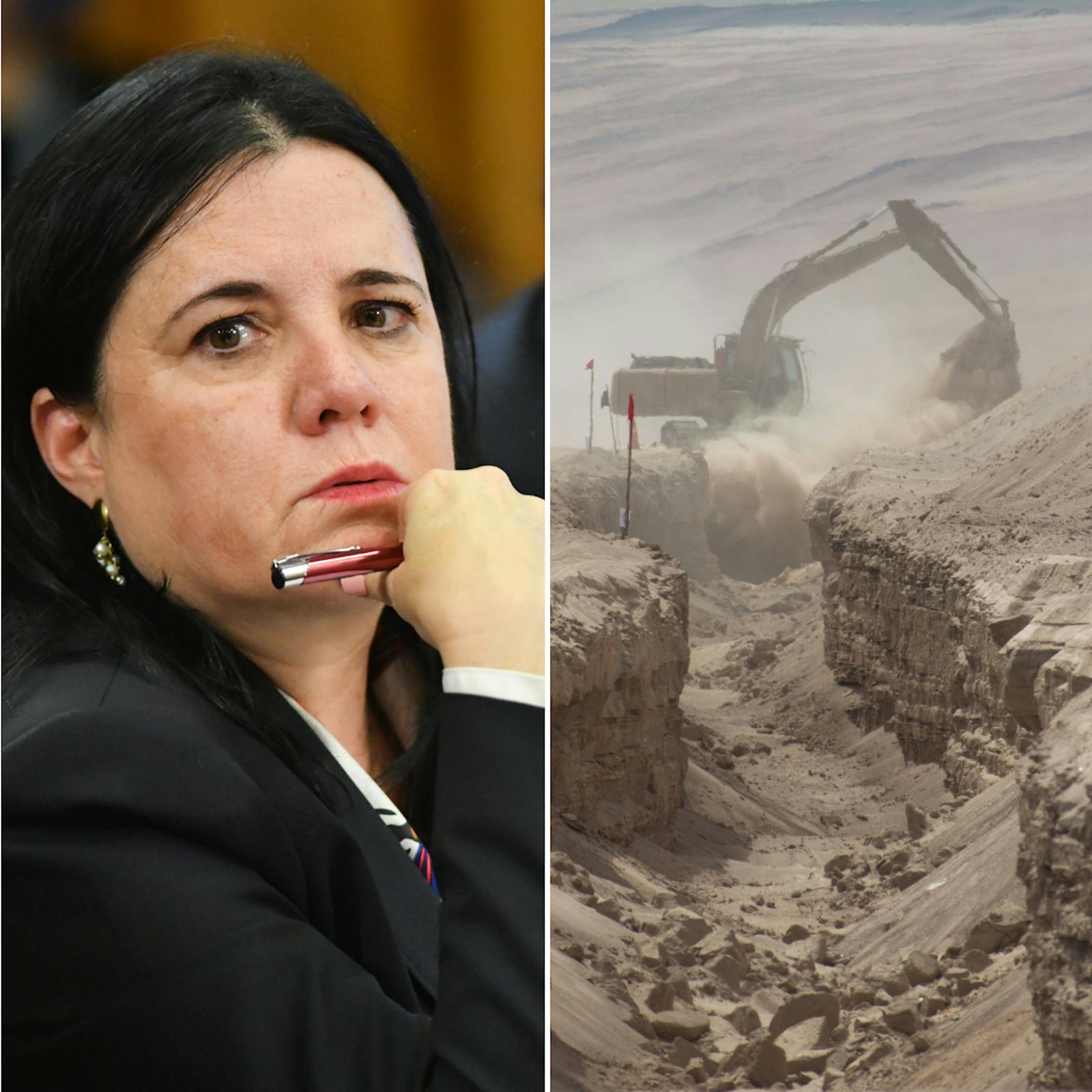 Galli y Piergentili por la defensa del medio ambiente y las críticas contra la ministra Steinert