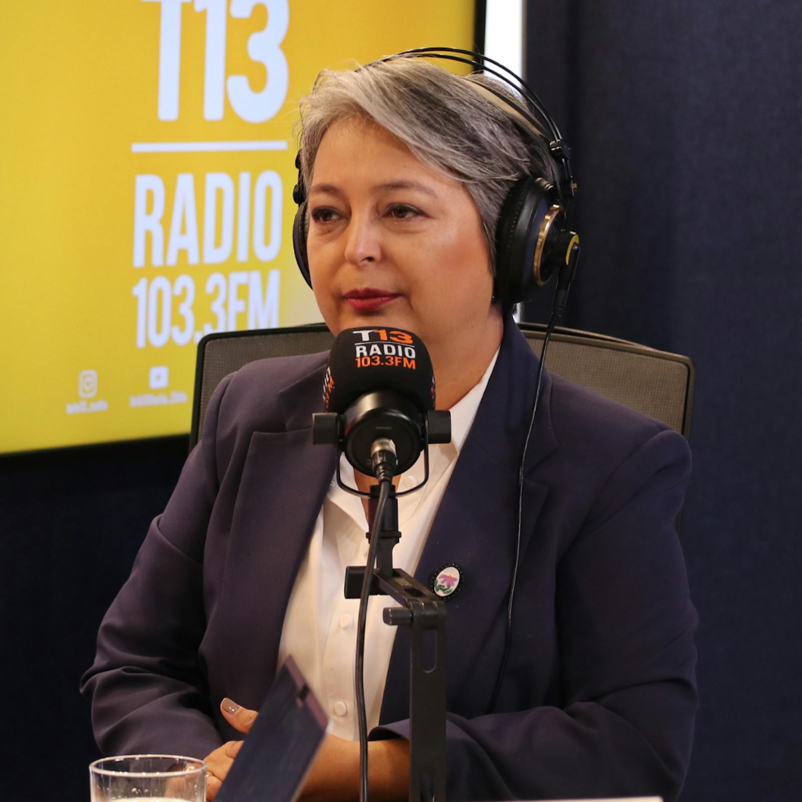 Jeannette Jara por instalación del Gobierno: "Lo que llama la atención es la falta de plan concreto para abordar temas prioritarios como la seguridad" episode artwork