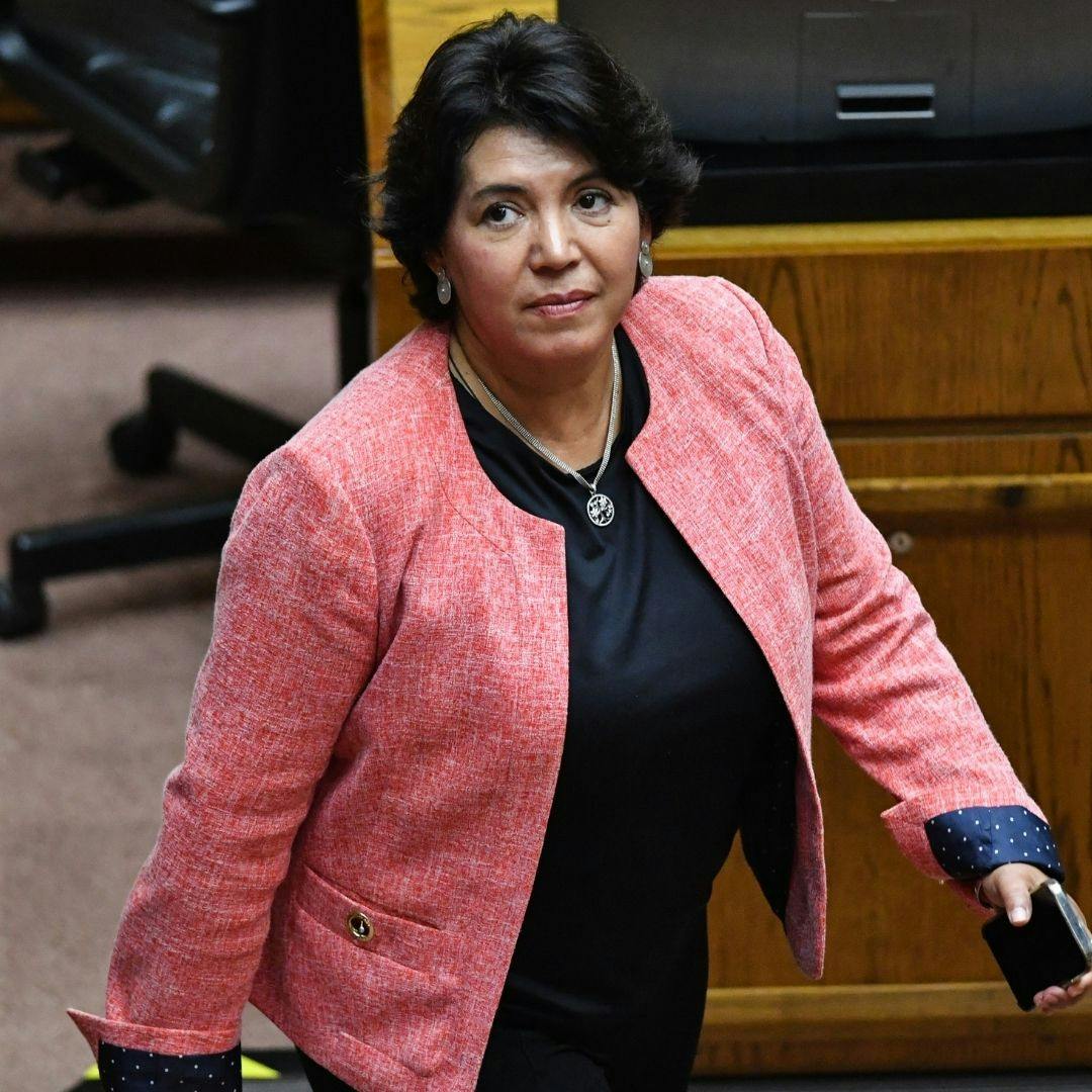 Senadora Provoste (DC): "La megarreforma, tal como está, no puede tener nuestros votos"