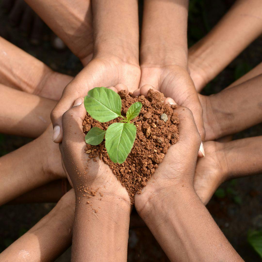 ¿Cómo aterrizar la conversación ambiental en la vida diaria?
