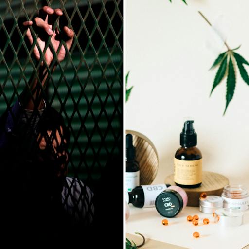 El fallo de Contraloría por la ampliación de Santiago 1 y el panorama de la cannabis medicinal