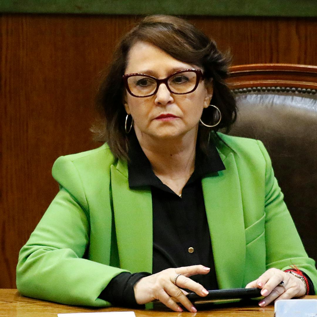 Diputada Hernando (PR) y acusación contra Grau: "No hubo mucho experto o técnico defendiendo la posición de los acusadores"