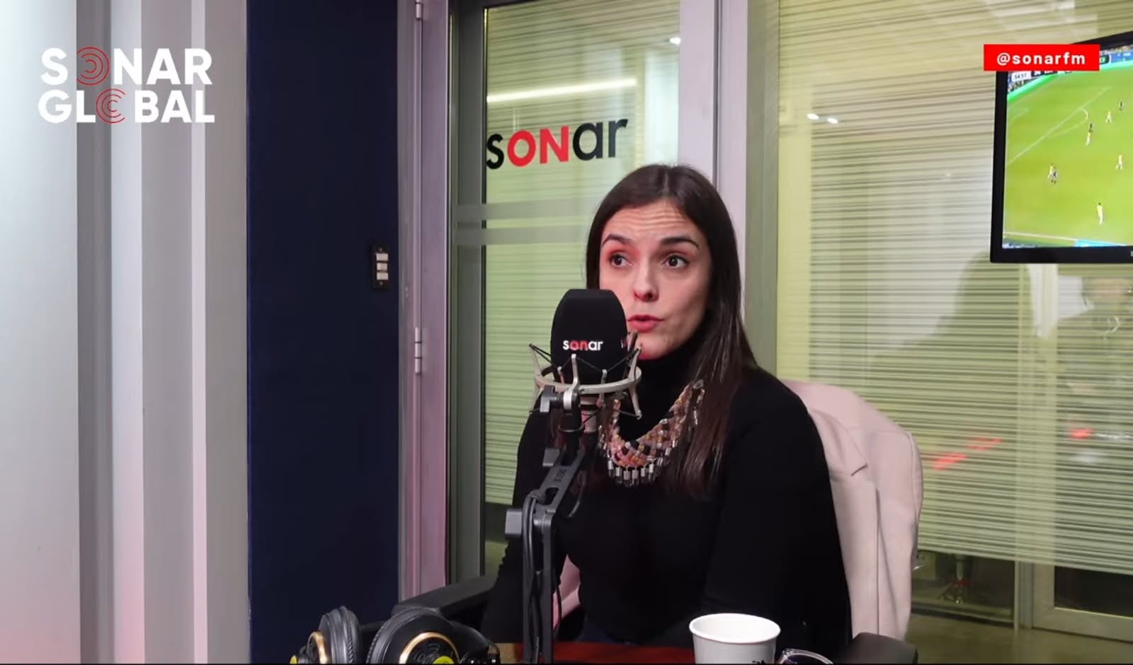 Conversamos con la académica UC Carmen Gloria Zúñiga sobre las falencias de la Ley Escuelas Protegidas.