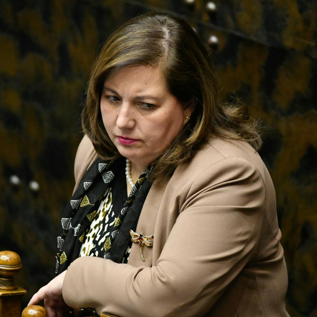 Paulina Vodanovic sobre Plan de Reconstrucción Nacional: "El Gobierno no ha tenido la voluntad política de modificar el proyecto"