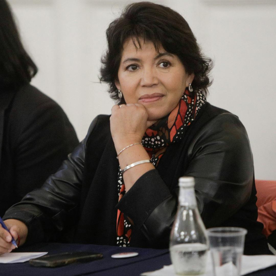 Senadora Provoste y megarreforma: "Nuestro propósito es proteger al país del déficit fiscal, que los expertos ven como el gran peligro de este proyecto"